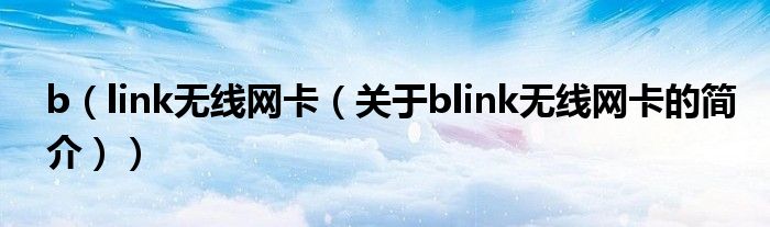 b（link无线网卡（关于blink无线网卡的简介））