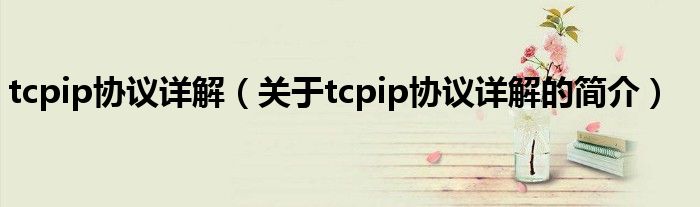 tcpip协议详解（关于tcpip协议详解的简介）