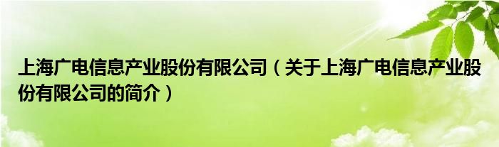 上海广电信息产业股份有限公司（关于上海广电信息产业股份有限公司的简介）