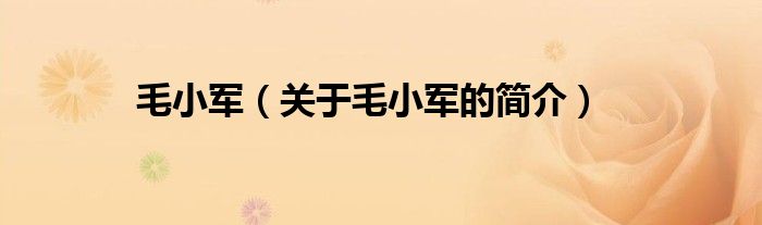 毛小军（关于毛小军的简介）