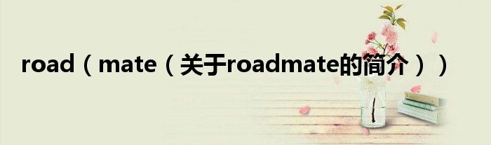 road（mate（关于roadmate的简介））