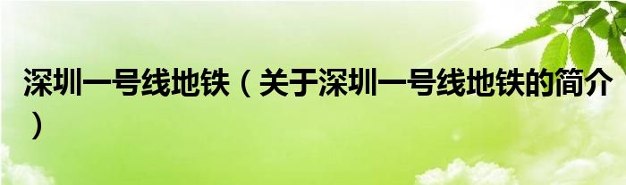 深圳一号线地铁（关于深圳一号线地铁的简介）