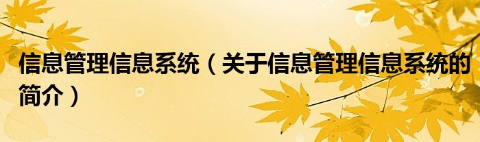 信息管理信息系统（关于信息管理信息系统的简介）