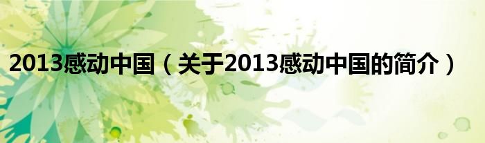 2013感动中国（关于2013感动中国的简介）