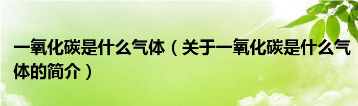 一氧化碳是什么气体（关于一氧化碳是什么气体的简介）