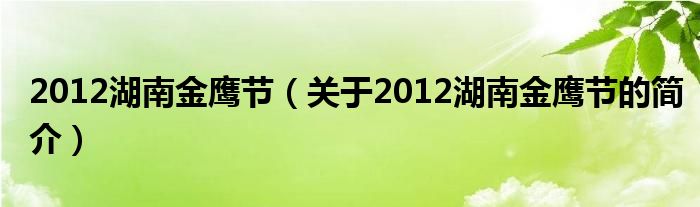 2012湖南金鹰节（关于2012湖南金鹰节的简介）