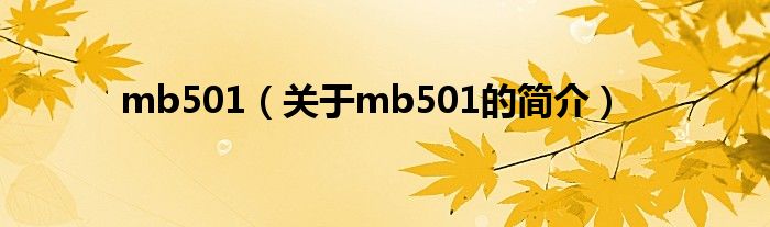 mb501（关于mb501的简介）