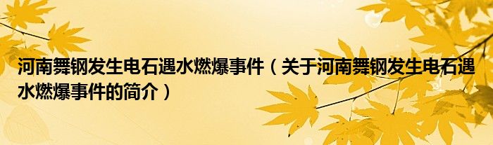 河南舞钢发生电石遇水燃爆事件（关于河南舞钢发生电石遇水燃爆事件的简介）