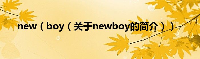 new（boy（关于newboy的简介））