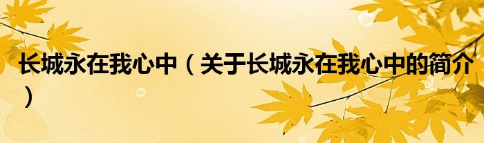 长城永在我心中（关于长城永在我心中的简介）