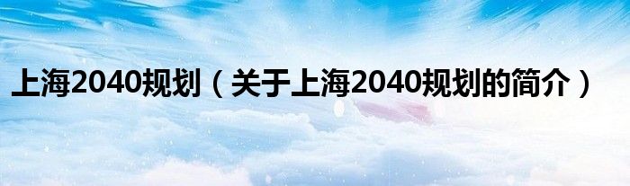 上海2040规划（关于上海2040规划的简介）