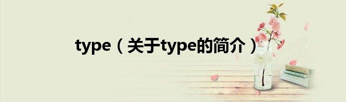 type（关于type的简介）