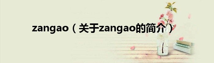 zangao（关于zangao的简介）
