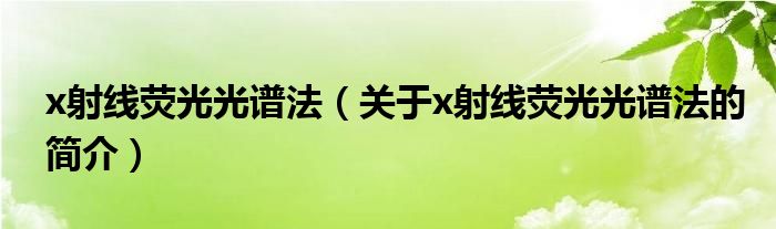 x射线荧光光谱法（关于x射线荧光光谱法的简介）