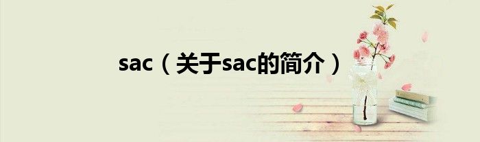 sac（关于sac的简介）