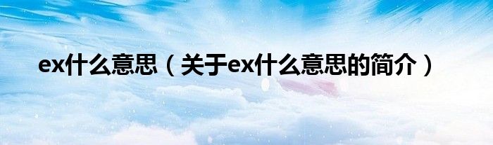 ex什么意思（关于ex什么意思的简介）