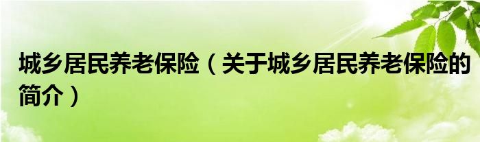 城乡居民养老保险（关于城乡居民养老保险的简介）