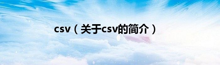 csv（关于csv的简介）