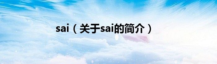 sai（关于sai的简介）