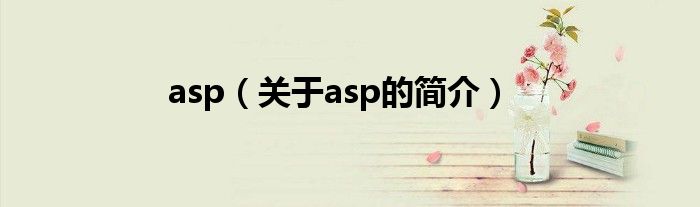 asp（关于asp的简介）