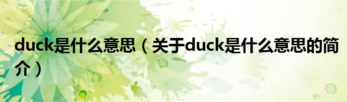 duck是什么意思（关于duck是什么意思的简介）