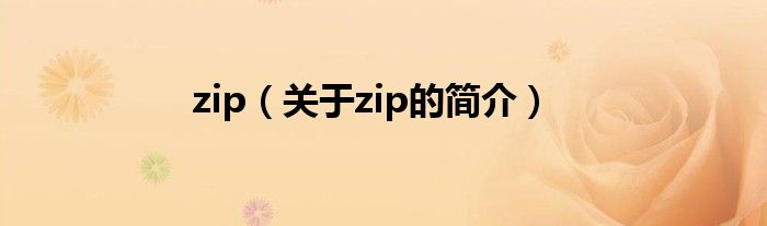 zip（关于zip的简介）