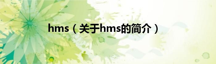 hms（关于hms的简介）