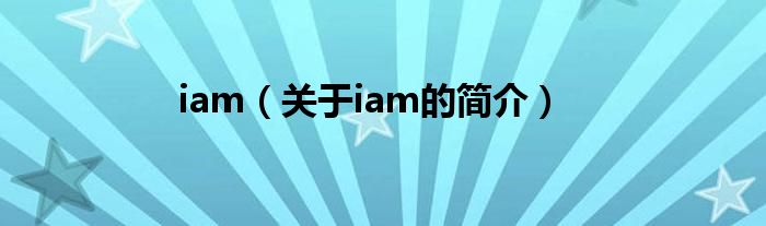 iam（关于iam的简介）