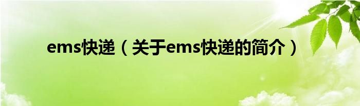 ems快递（关于ems快递的简介）