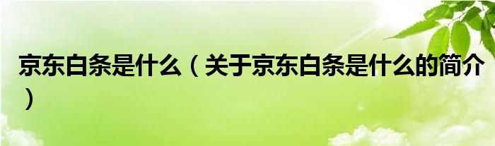 京东白条是什么（关于京东白条是什么的简介）