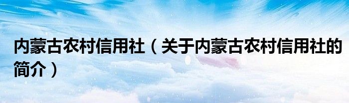 内蒙古农村信用社（关于内蒙古农村信用社的简介）