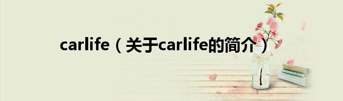 carlife（关于carlife的简介）