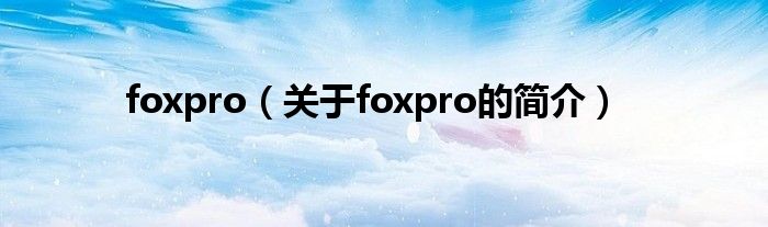 foxpro（关于foxpro的简介）