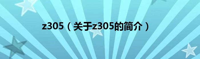 z305（关于z305的简介）