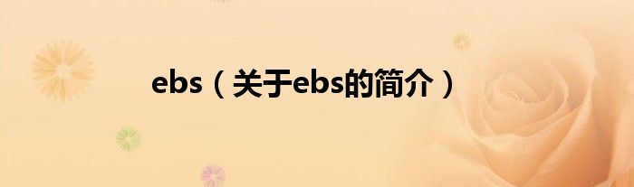 ebs（关于ebs的简介）