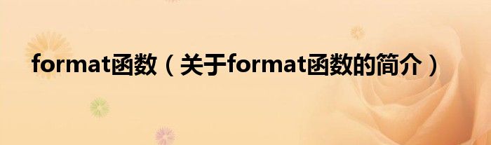 format函数（关于format函数的简介）