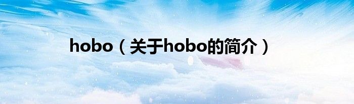 hobo（关于hobo的简介）