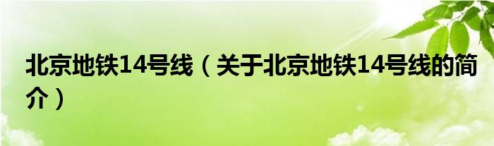 北京地铁14号线（关于北京地铁14号线的简介）