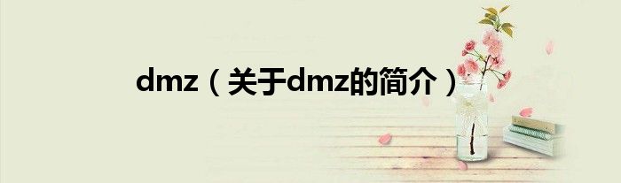 dmz（关于dmz的简介）