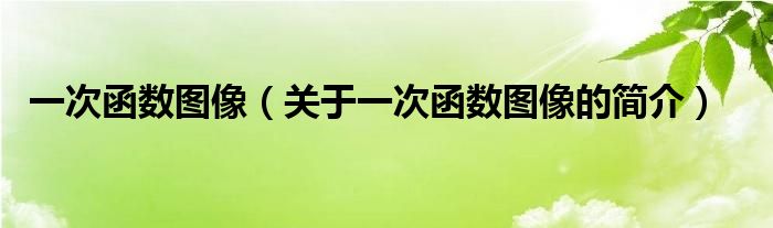 一次函数图像（关于一次函数图像的简介）