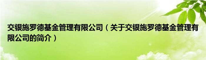 交银施罗德基金管理有限公司（关于交银施罗德基金管理有限公司的简介）