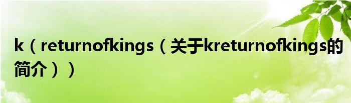 k（returnofkings（关于kreturnofkings的简介））