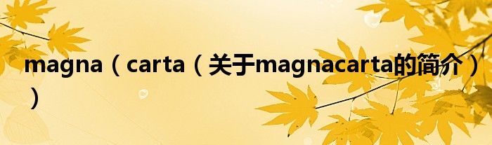 magna（carta（关于magnacarta的简介））