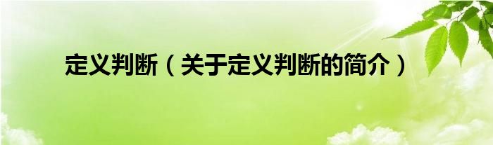 定义判断（关于定义判断的简介）