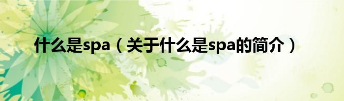 什么是spa（关于什么是spa的简介）