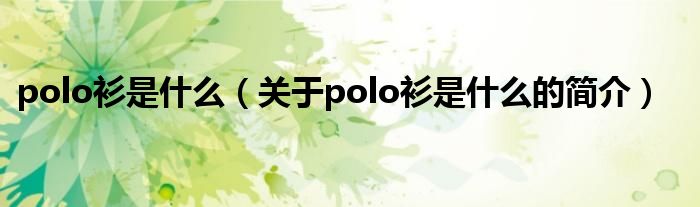 polo衫是什么（关于polo衫是什么的简介）