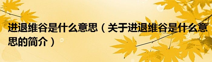 进退维谷是什么意思（关于进退维谷是什么意思的简介）