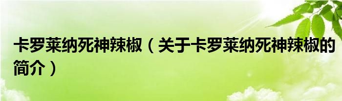 卡罗莱纳死神辣椒（关于卡罗莱纳死神辣椒的简介）