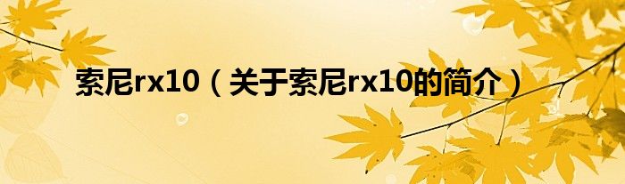 索尼rx10（关于索尼rx10的简介）