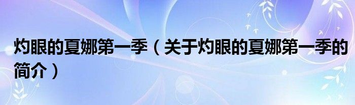 灼眼的夏娜第一季（关于灼眼的夏娜第一季的简介）